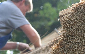 professional Denhead Of Gray thatchers