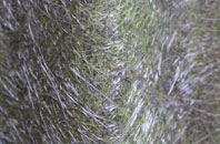 Denhead Of Gray fibreglass roof work